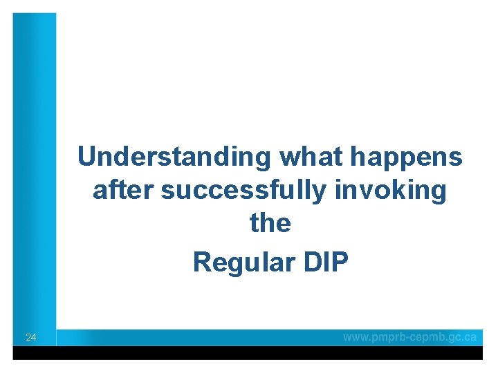 Understanding what happens after successfully invoking the Regular DIP 24 