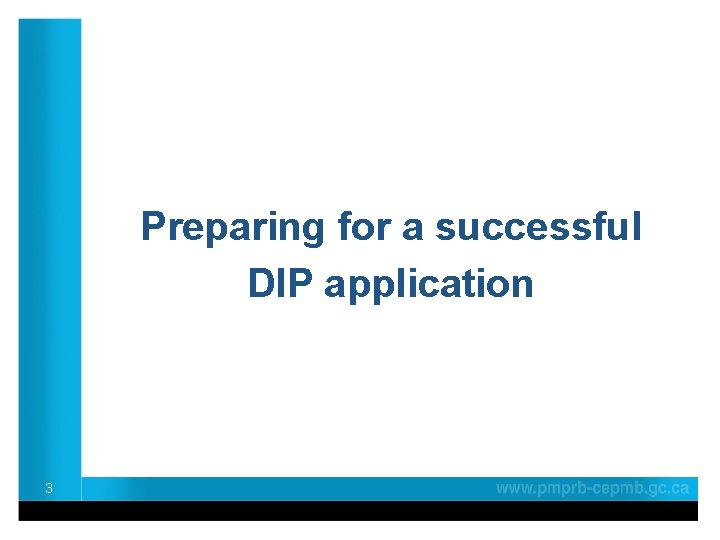 Preparing for a successful DIP application 3 
