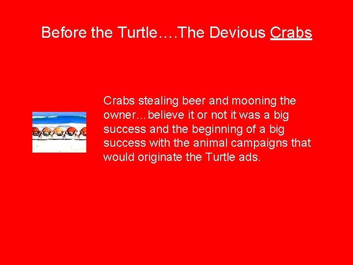 Before the Turtle…. The Devious Crabs stealing beer and mooning the owner…believe it or