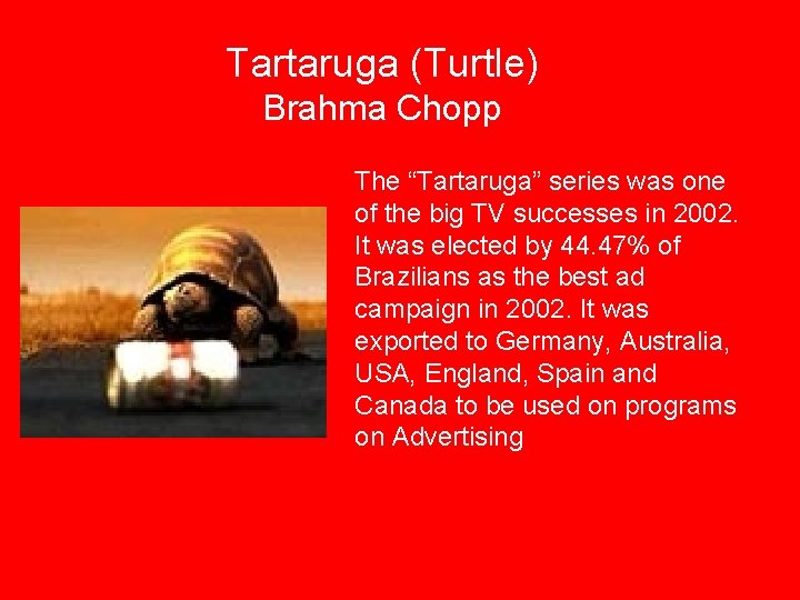 Tartaruga (Turtle) Brahma Chopp The “Tartaruga” series was one of the big TV successes