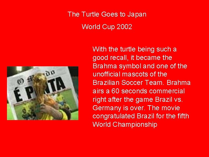 The Turtle Goes to Japan World Cup 2002 With the turtle being such a