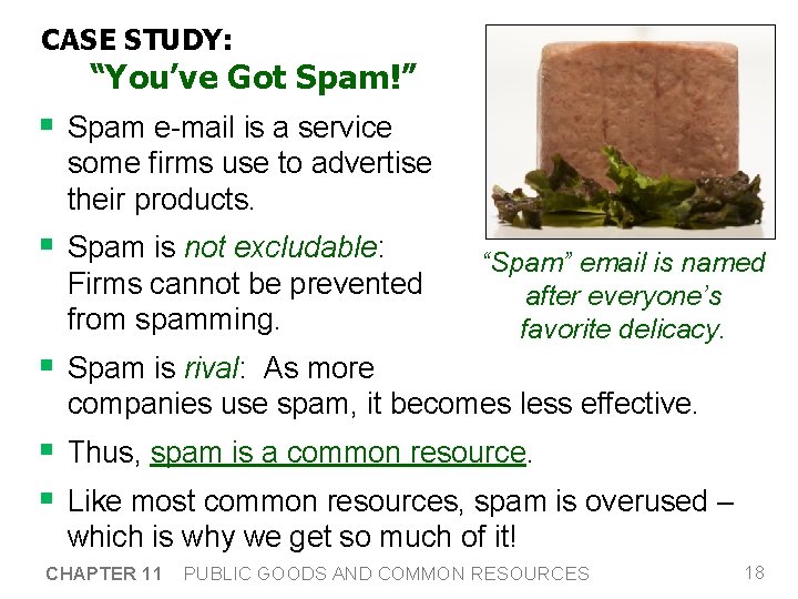 CASE STUDY: “You’ve Got Spam!” § Spam e-mail is a service some firms use