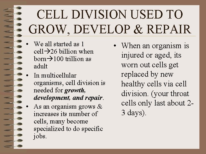 CELL DIVISION USED TO GROW, DEVELOP & REPAIR • We all started as 1
