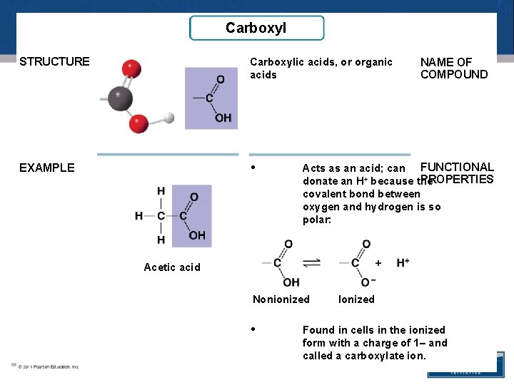 Carboxyl STRUCTURE Carboxylic acids, or organic acids EXAMPLE • NAME OF COMPOUND Acts as