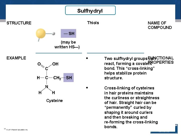 Sulfhydryl Thiols STRUCTURE NAME OF COMPOUND (may be written HS—) EXAMPLE Cysteine • Two