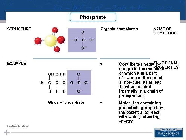 Phosphate STRUCTURE Organic phosphates EXAMPLE • FUNCTIONAL Contributes negative PROPERTIES charge to the molecule