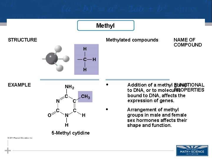 Methyl STRUCTURE Methylated compounds EXAMPLE • Addition of a methyl FUNCTIONAL group PROPERTIES to