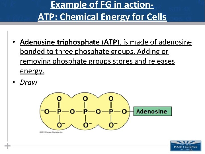 Example of FG in action. ATP: Chemical Energy for Cells • Adenosine triphosphate (ATP), Example of FG in action. ATP: Chemical Energy for Cells • Adenosine triphosphate (ATP),