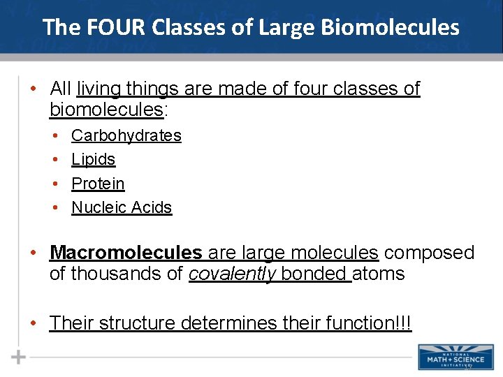 The FOUR Classes of Large Biomolecules • All living things are made of four