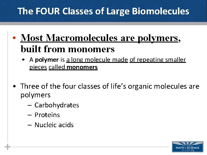 The FOUR Classes of Large Biomolecules • Most Macromolecules are polymers, built from monomers The FOUR Classes of Large Biomolecules • Most Macromolecules are polymers, built from monomers