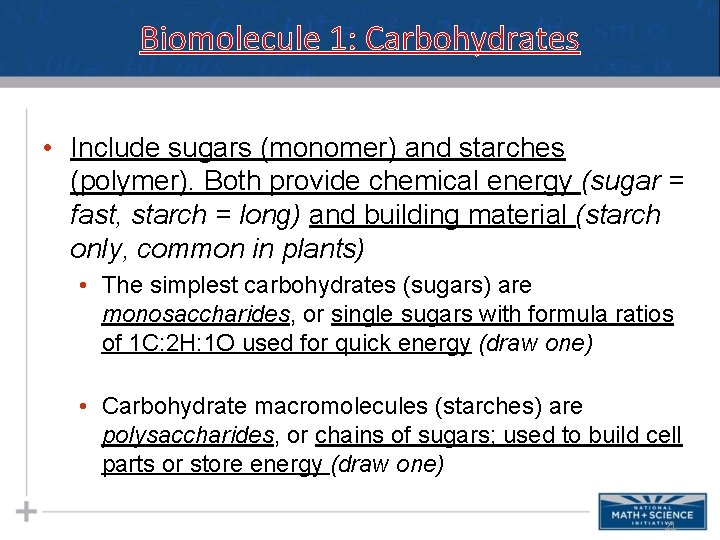 Biomolecule 1: Carbohydrates • Include sugars (monomer) and starches (polymer). Both provide chemical energy