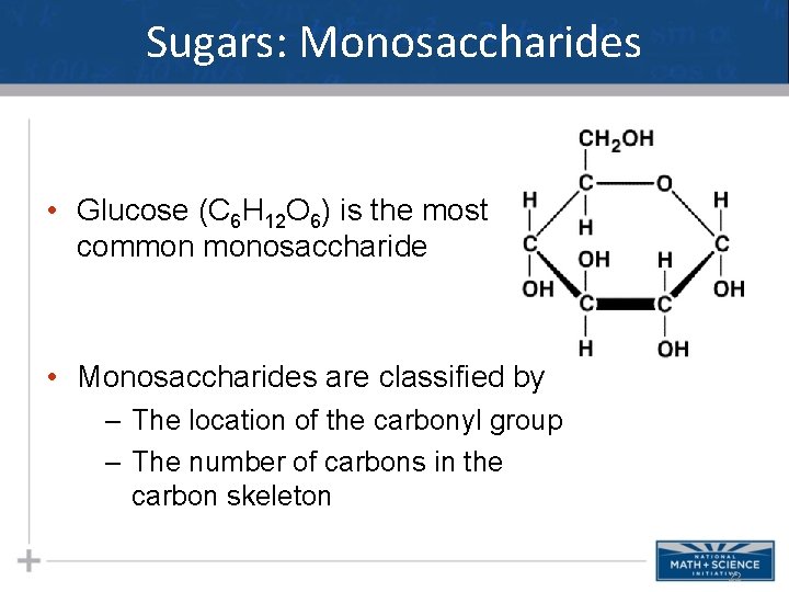 Sugars: Monosaccharides • Glucose (C 6 H 12 O 6) is the most common