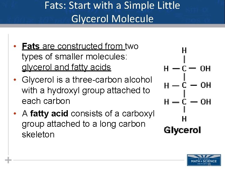 Fats: Start with a Simple Little Glycerol Molecule • Fats are constructed from two Fats: Start with a Simple Little Glycerol Molecule • Fats are constructed from two