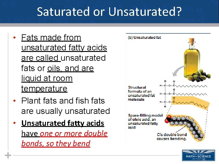 Saturated or Unsaturated? • Fats made from unsaturated fatty acids are called unsaturated fats