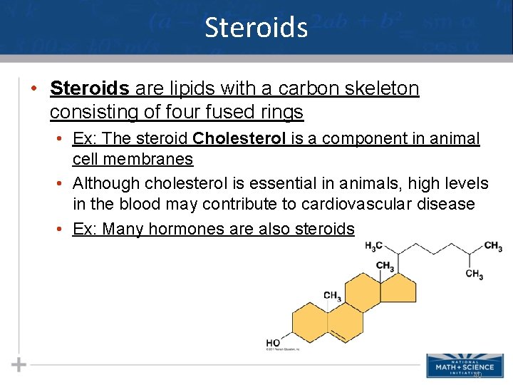 Steroids • Steroids are lipids with a carbon skeleton consisting of four fused rings Steroids • Steroids are lipids with a carbon skeleton consisting of four fused rings
