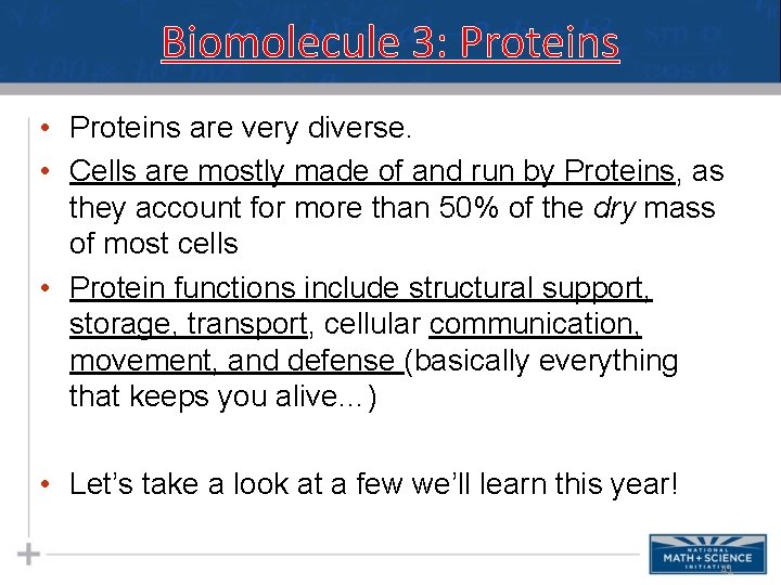 Biomolecule 3: Proteins • Proteins are very diverse. • Cells are mostly made of Biomolecule 3: Proteins • Proteins are very diverse. • Cells are mostly made of