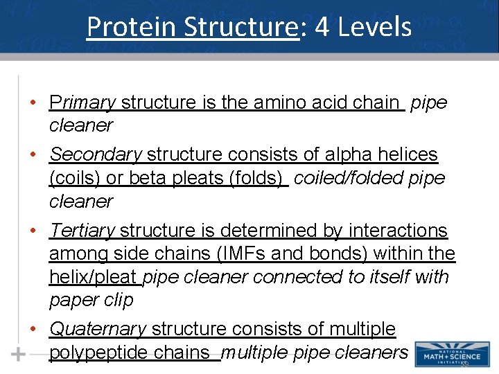 Protein Structure: 4 Levels • Primary structure is the amino acid chain pipe cleaner