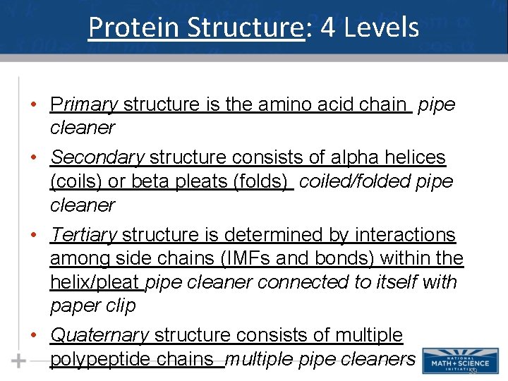Protein Structure: 4 Levels • Primary structure is the amino acid chain pipe cleaner Protein Structure: 4 Levels • Primary structure is the amino acid chain pipe cleaner