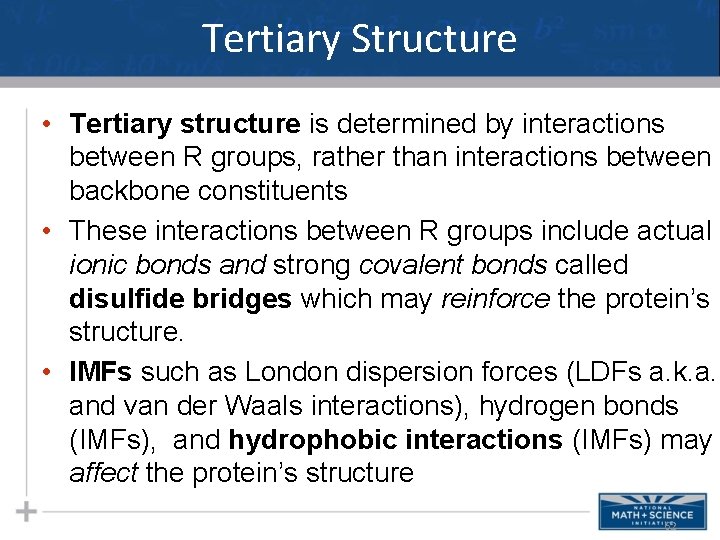 Tertiary Structure • Tertiary structure is determined by interactions between R groups, rather than