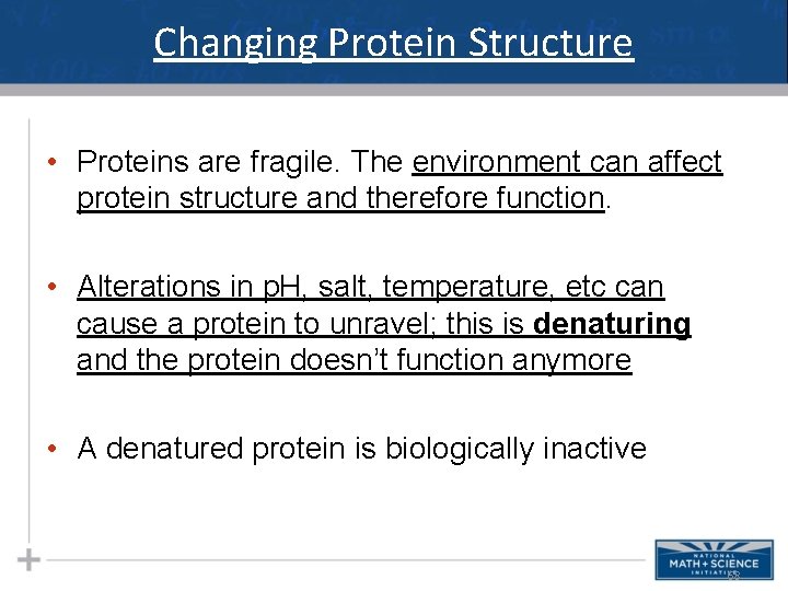 Changing Protein Structure • Proteins are fragile. The environment can affect protein structure and