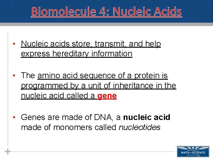 Biomolecule 4: Nucleic Acids • Nucleic acids store, transmit, and help express hereditary information Biomolecule 4: Nucleic Acids • Nucleic acids store, transmit, and help express hereditary information
