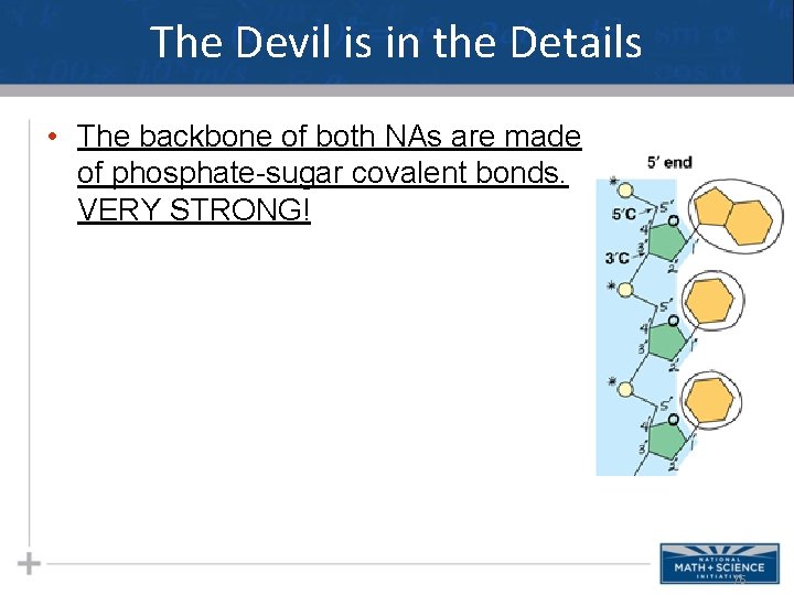 The Devil is in the Details • The backbone of both NAs are made