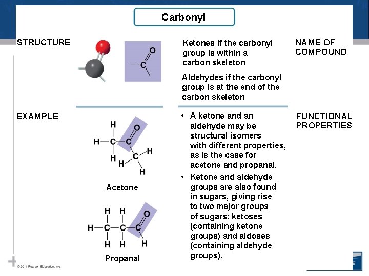 Carbonyl STRUCTURE Ketones if the carbonyl group is within a carbon skeleton NAME OF Carbonyl STRUCTURE Ketones if the carbonyl group is within a carbon skeleton NAME OF