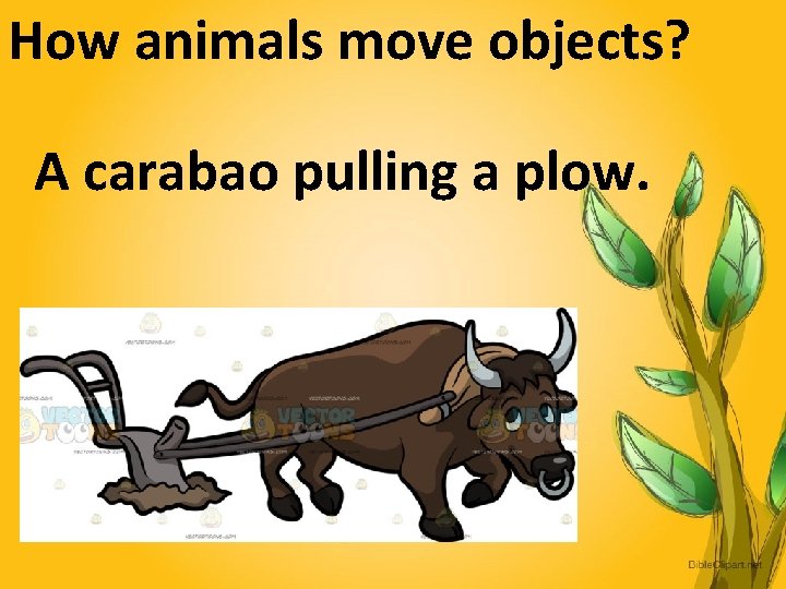 How animals move objects? A carabao pulling a plow. 