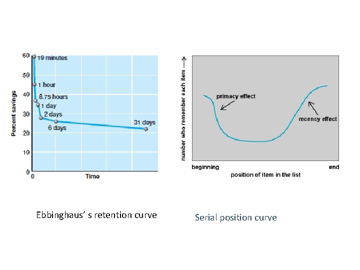 Ebbinghaus’ s retention curve Serial position curve 