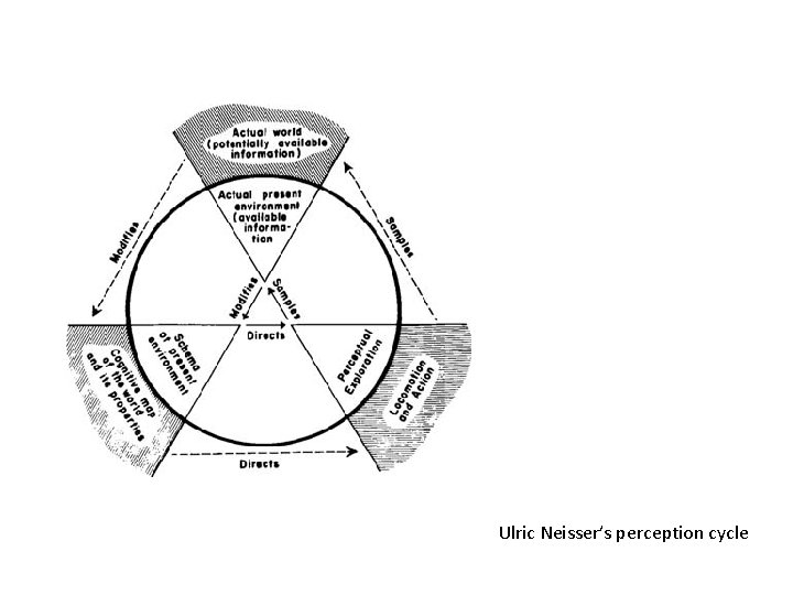 Ulric Neisser’s perception cycle 