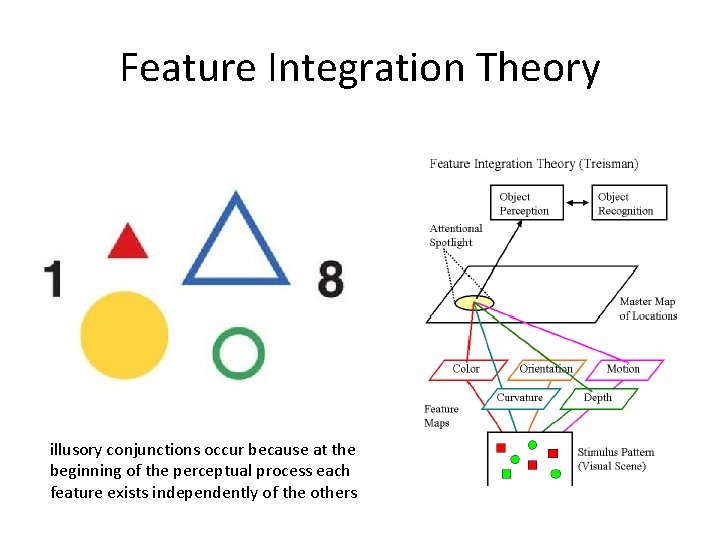 Feature Integration Theory illusory conjunctions occur because at the beginning of the perceptual process