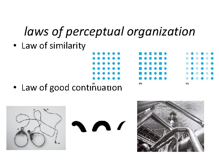 laws of perceptual organization • Law of similarity • Law of good continuation 