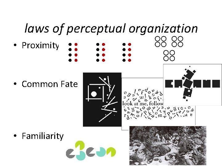 laws of perceptual organization • Proximity • Common Fate • Familiarity 