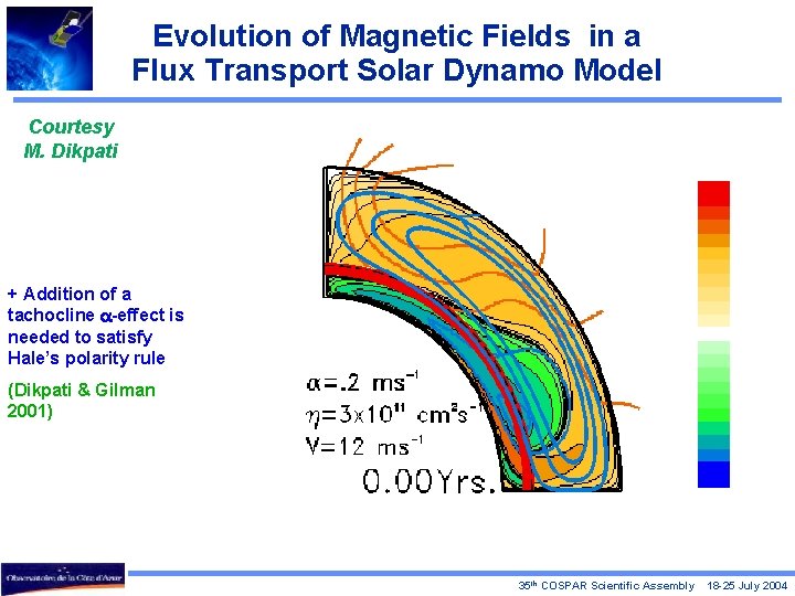 Evolution of Magnetic Fields in a Flux Transport Solar Dynamo Model Courtesy M. Dikpati