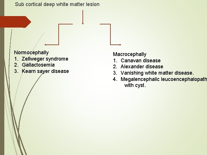 Sub cortical deep white matter lesion Normocephally 1. Zellweger syndrome 2. Gallactosemia 3. Kearn