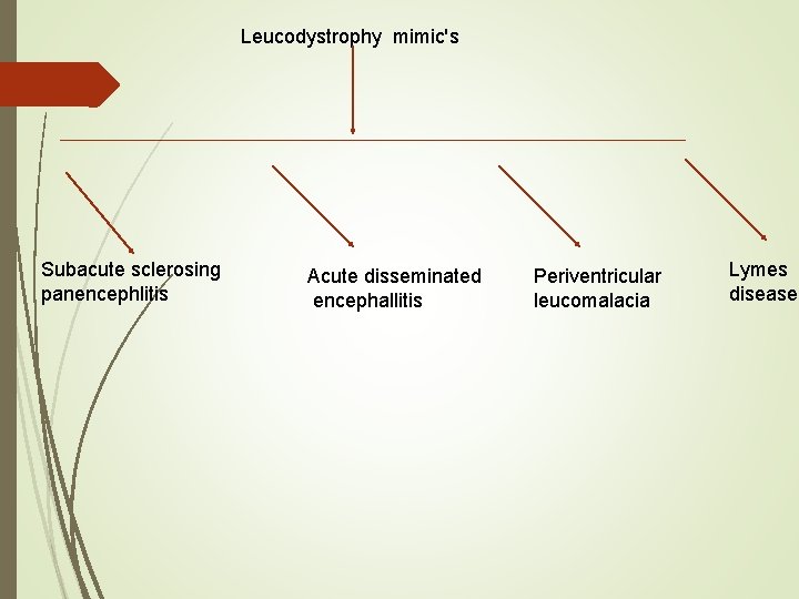 Leucodystrophy mimic's Subacute sclerosing panencephlitis Acute disseminated encephallitis Periventricular leucomalacia Lymes disease 