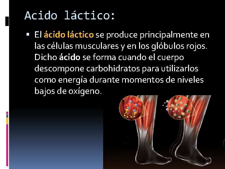 Acido láctico: El ácido láctico se produce principalmente en las células musculares y en