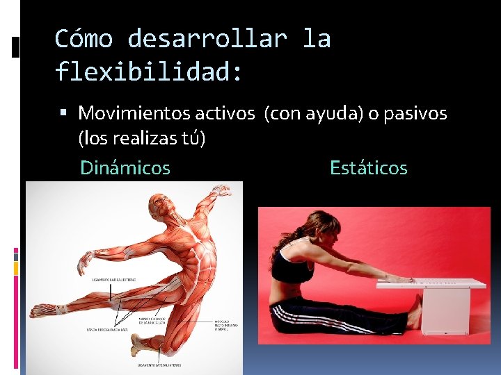 Cómo desarrollar la flexibilidad: Movimientos activos (con ayuda) o pasivos (los realizas tú) Dinámicos