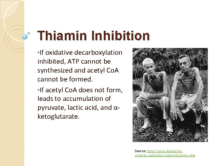 Thiamin Inhibition • If oxidative decarboxylation inhibited, ATP cannot be synthesized and acetyl Co.