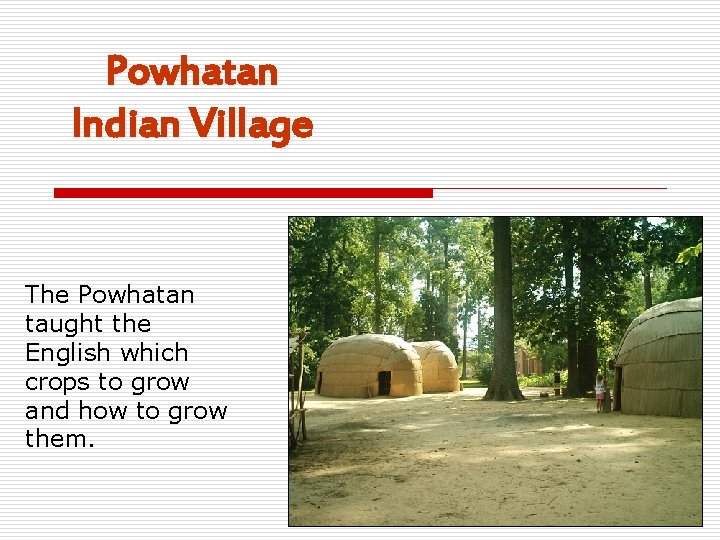 Powhatan Indian Village The Powhatan taught the English which crops to grow and how