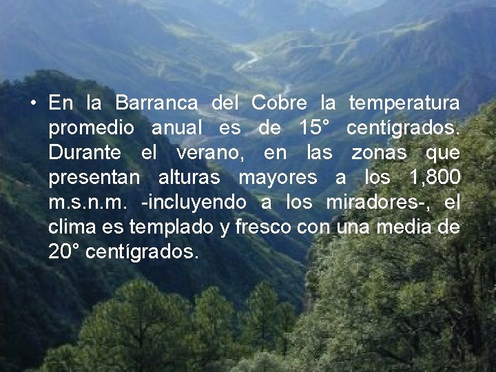  • En la Barranca del Cobre la temperatura promedio anual es de 15°