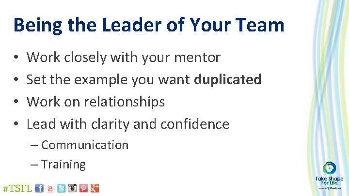 Being the Leader of Your Team • • Work closely with your mentor Set