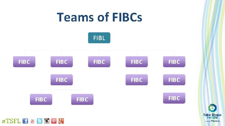 Teams of FIBCs FIBL FIBC FIBC FIBC 