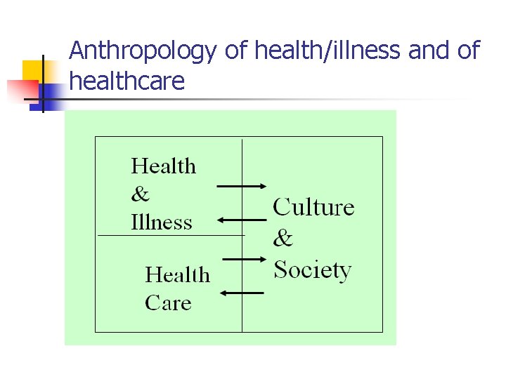 Anthropology of health/illness and of healthcare 