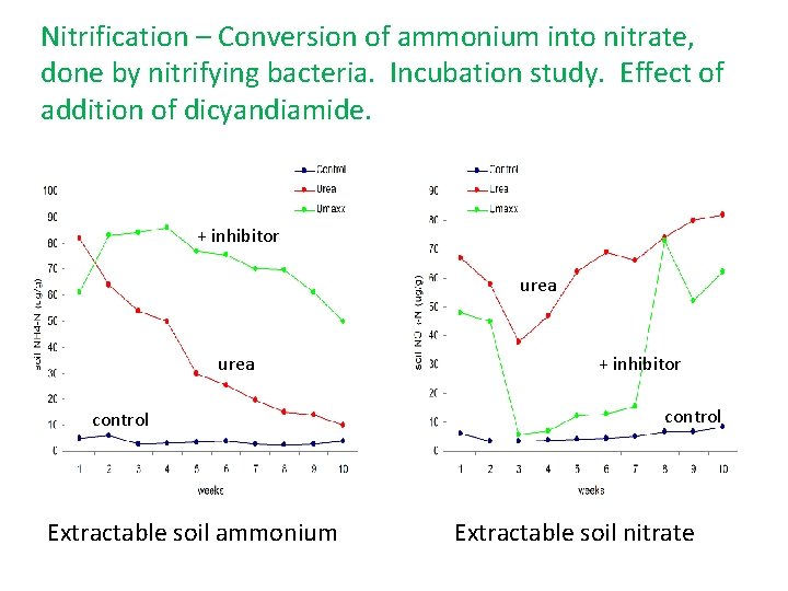 Nitrification – Conversion of ammonium into nitrate, done by nitrifying bacteria. Incubation study. Effect