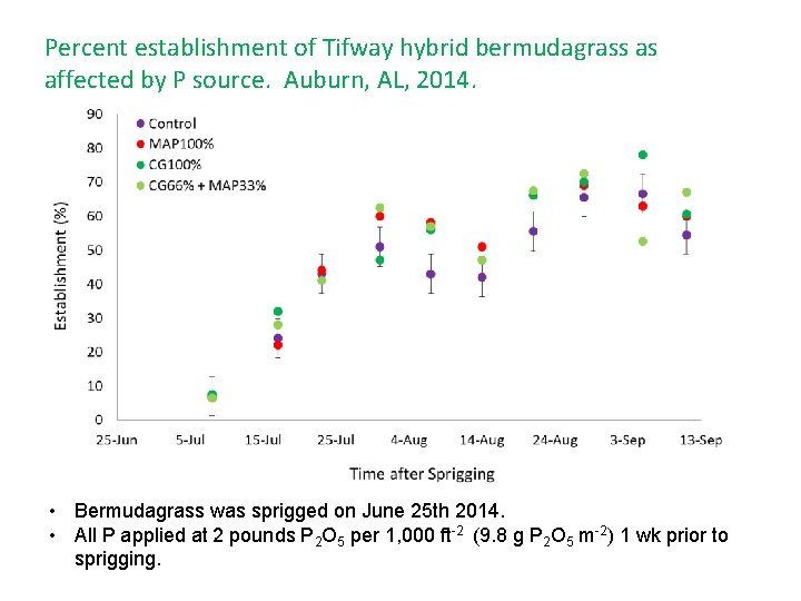 Percent establishment of Tifway hybrid bermudagrass as affected by P source. Auburn, AL, 2014.
