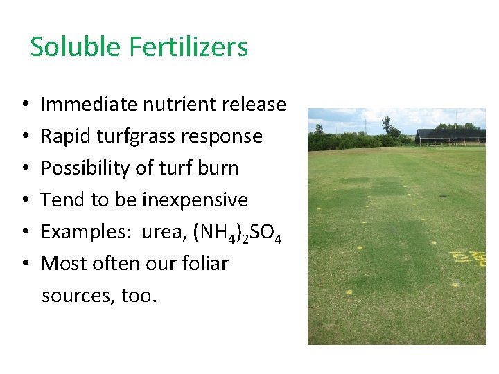 Soluble Fertilizers • • • Immediate nutrient release Rapid turfgrass response Possibility of turf