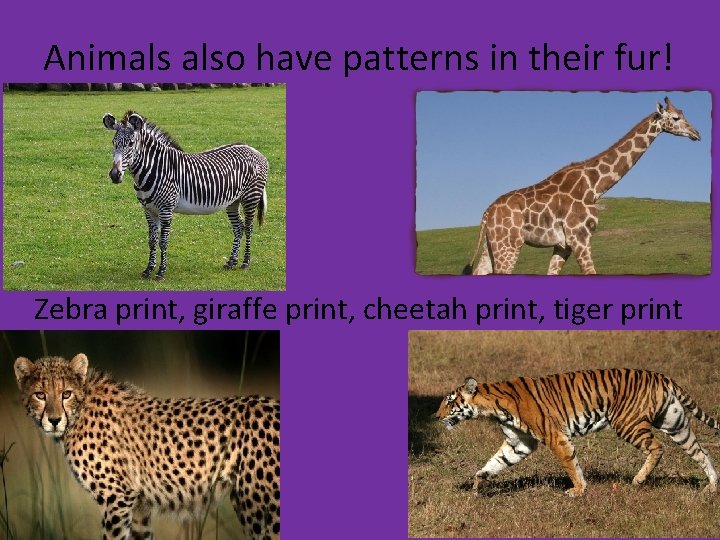 Patterns Objectives Students will be able to identify