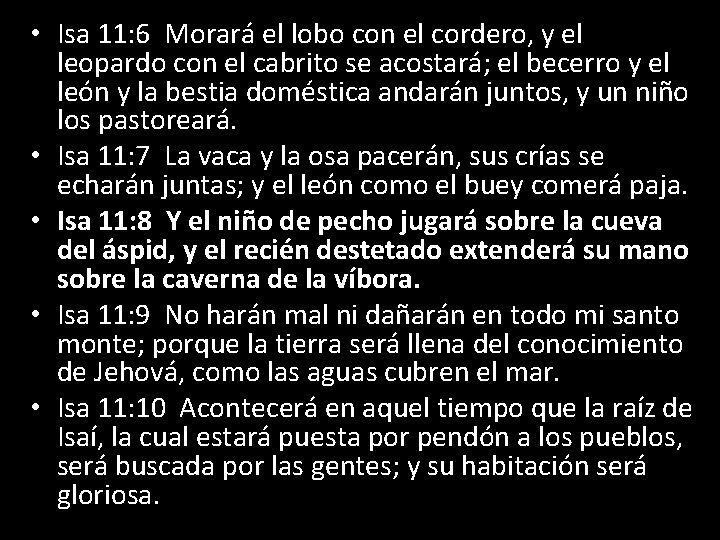  • Isa 11: 6 Morará el lobo con el cordero, y el leopardo