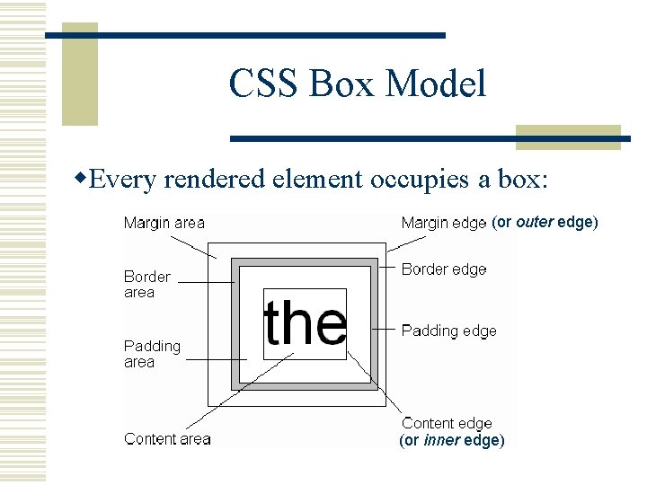 CSS Box Model w. Every rendered element occupies a box: (or outer edge) (or